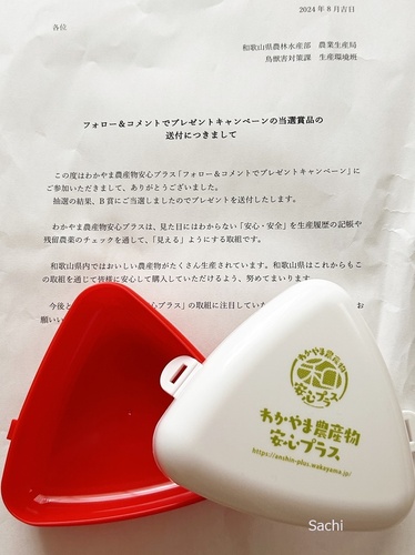 SachiIMG_1611和歌山農産物安心プラス おにぎりケース.jpg
