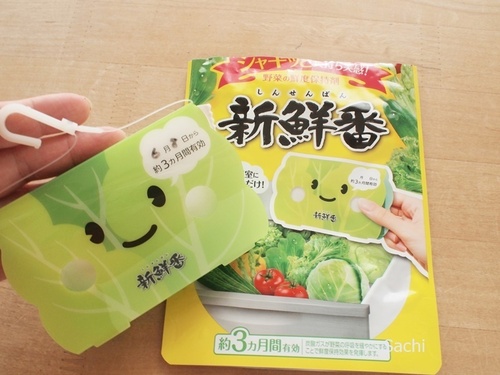 SachiP6083436VN.JPG